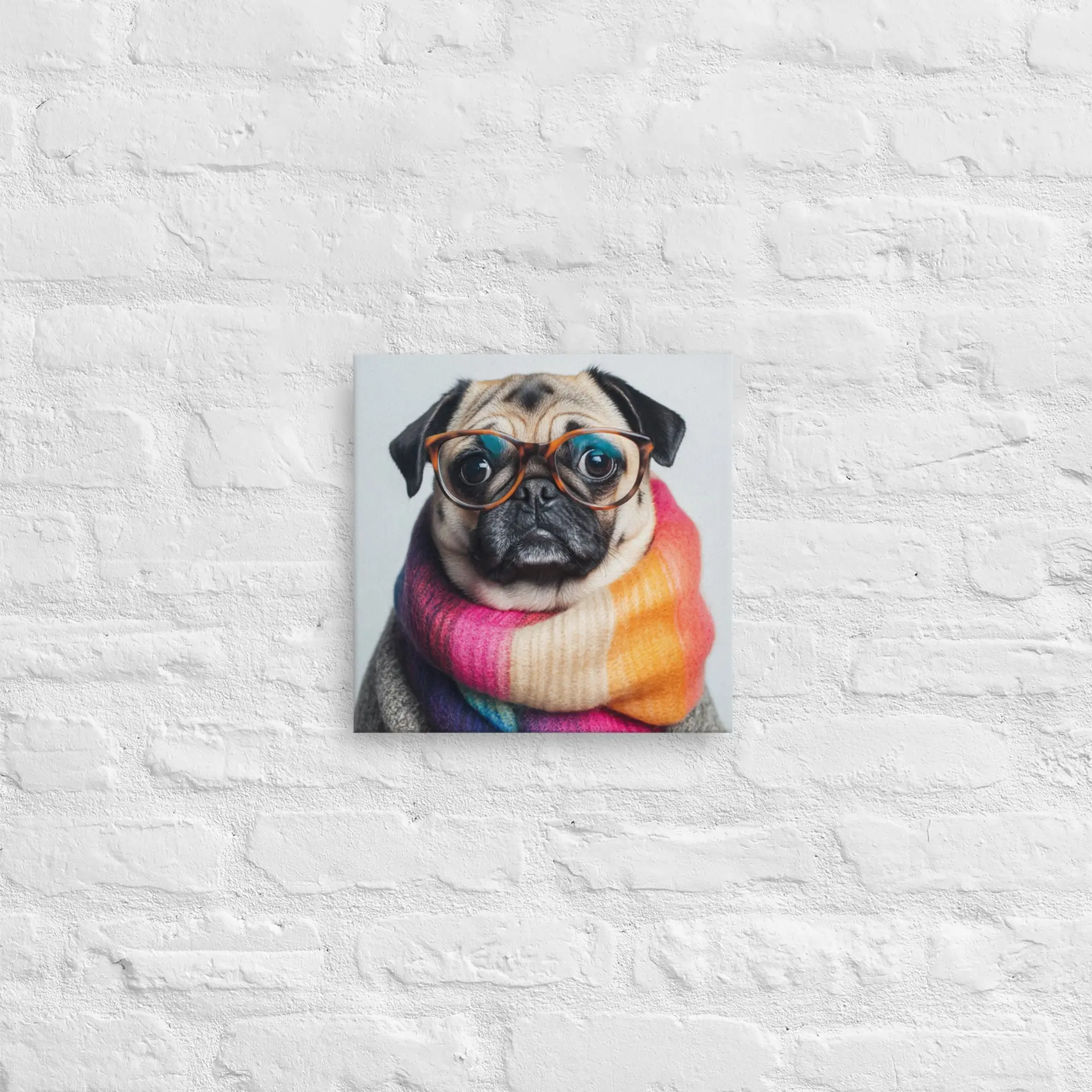 Pixie the Pug